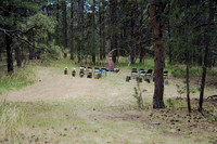 DSC00011