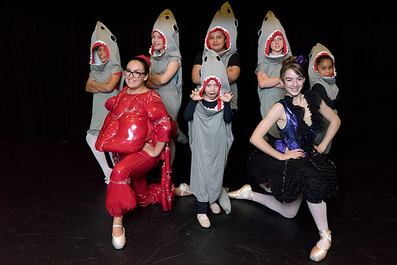 28 Sharks Group