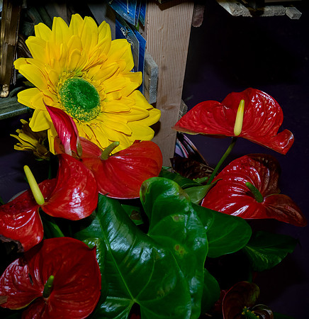 DSC04971